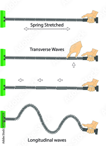 physics. spring stretched. transverse waves. longitudinal. The difference between throwing and periodic wave formation. longitudinal wave generation. periodically generated transverse waves