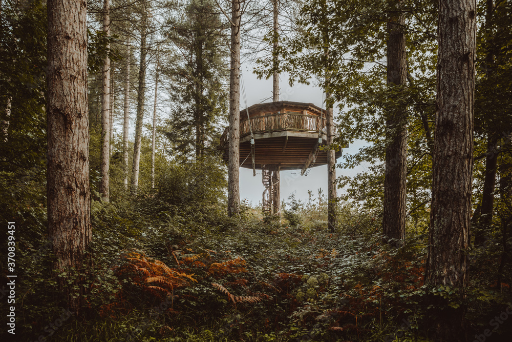 Huge wooden house placed between pine trees above ground in woods in Biscay Huge wooden house placed between pine trees above ground in woods in Biscay