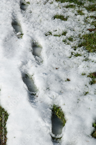 Footprints in the snow at Sabiñanigo. Huesca. Aragon. Spain. photo