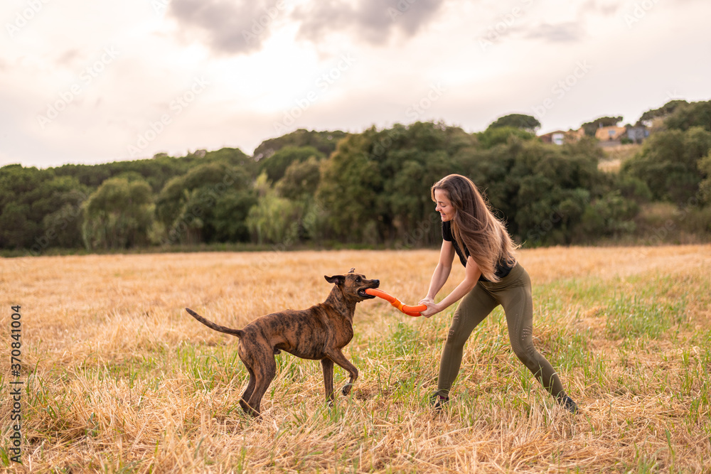 Side view of glad female in casual clothes holding toy while playing with adorable big dog on meadow in autumn under cloudy sky Side view of glad female in casual clothes holding toy while playing with adorable big dog on meadow in autumn under cloudy sky
