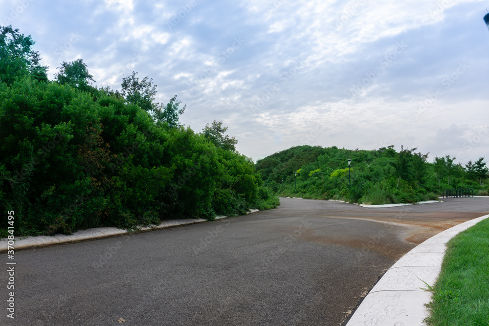 An empty road with trees and bushes on the side. Left and ride curve