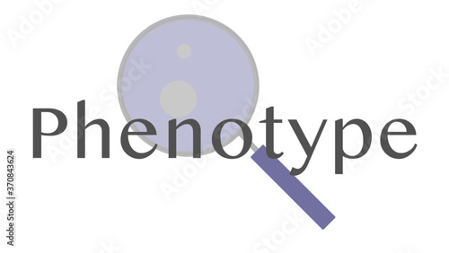 Phenotype Labels photo