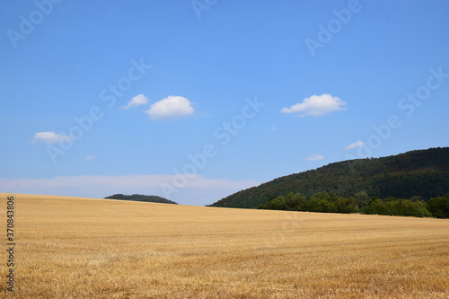 Abgeerntetes Getreidefeld im August