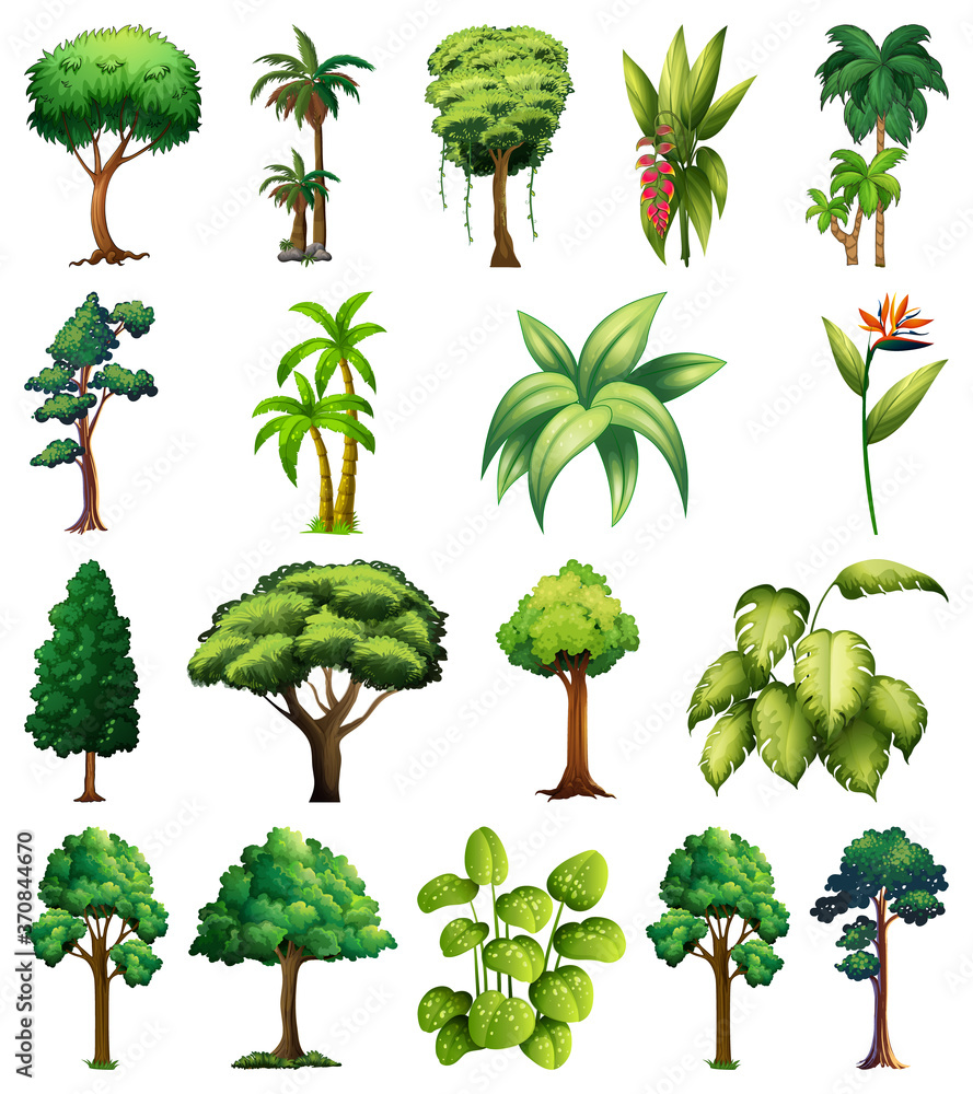 Fototapeta premium Set of variety plants and trees