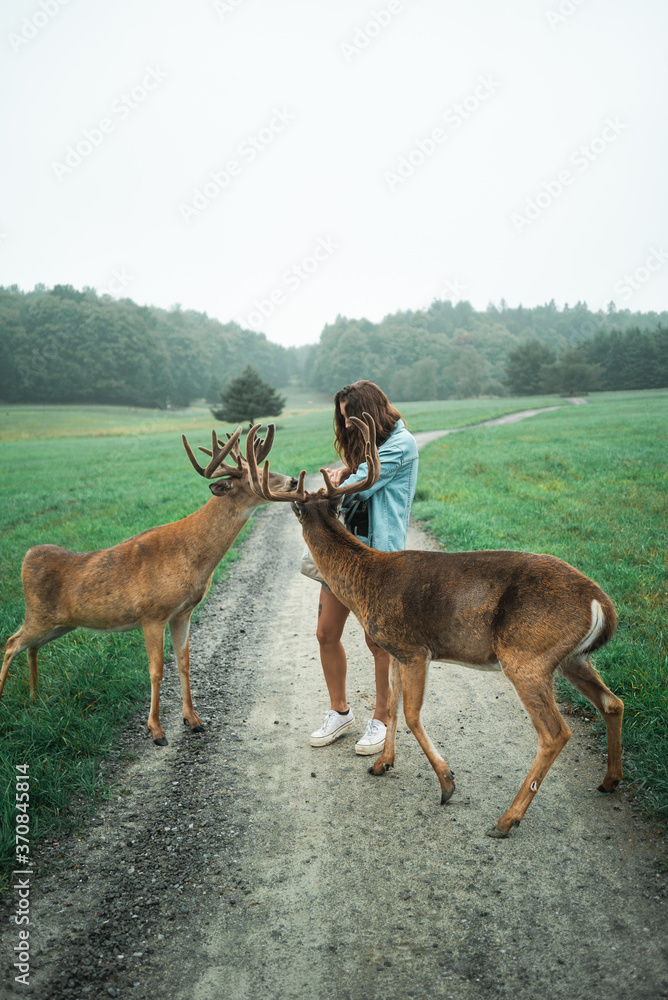 Content female traveler in summer clothes standing on sandy road and feeding male deer Content female traveler in summer clothes standing on sandy road and feeding male deer
