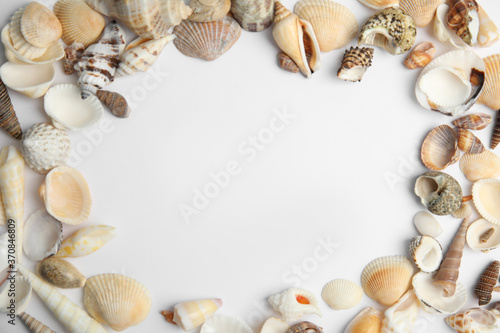 Frame made with different sea shells on white background, top view. Space for text