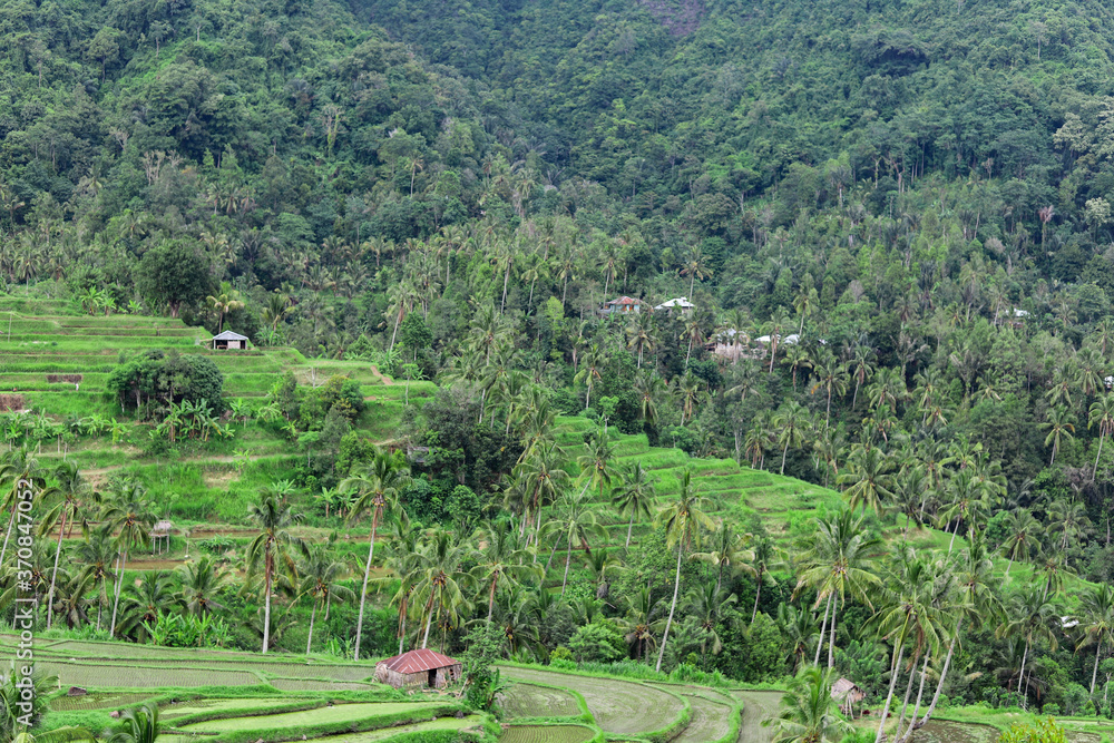 Φωτογραφία Rice Terraces located in the northern mountains of Bali