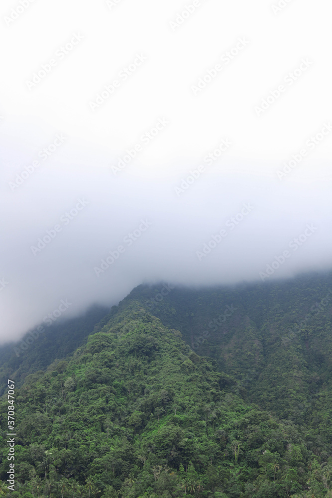 Jungles, tropical rainforest located in the northern mountains of Bali Jungles, tropical rainforest located in the northern mountains of Bali