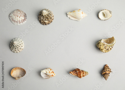 Frame made with different sea shells on light grey background, flat lay. Space for text
