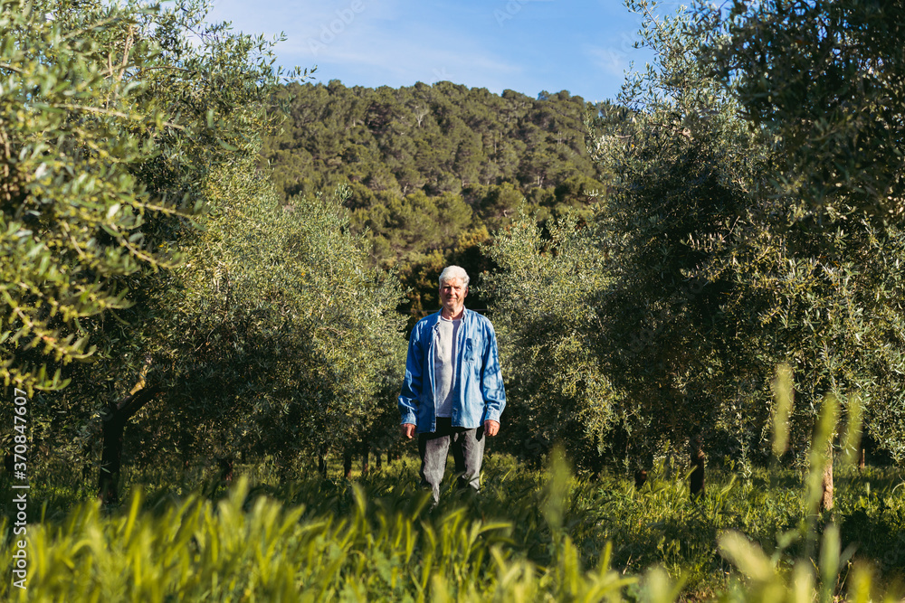 Senior man standing between row of trees on meadow Senior man standing between row of trees on meadow