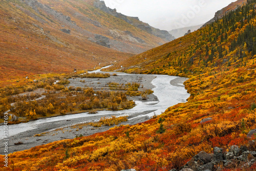 Fototapeta Naklejka Na Ścianę i Meble -  Savage River and autumn colored brush on the tundra in Denali National Park, Alaska