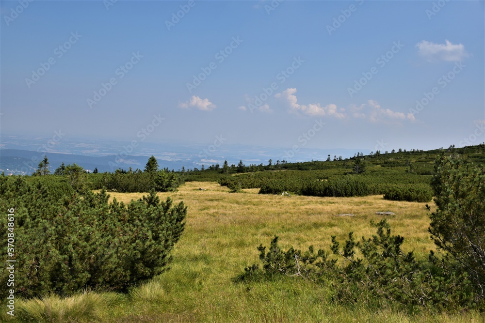 Fototapeta premium Góry