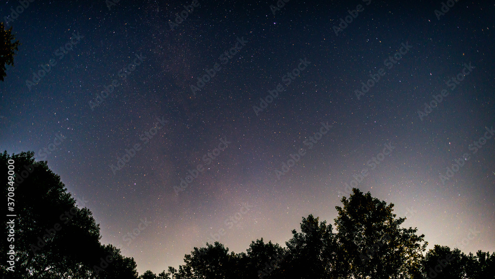 The starry night sky in the forest. A lot of stars and tree silhouettes. A starry landscape. The starry night sky in the forest. A lot of stars and tree silhouettes. A starry landscape.