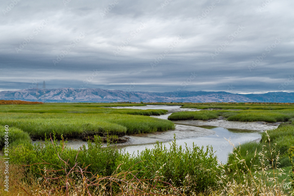 A beautiful wetland with green grass and a running through creek and mountains in distance