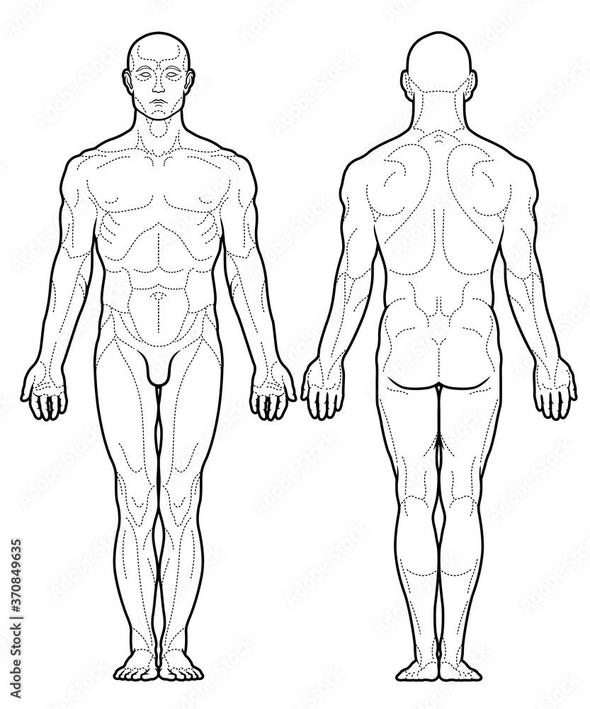 Chinese acupuncture points scheme black and white vector illustration Chinese acupuncture points scheme black and white vector illustration