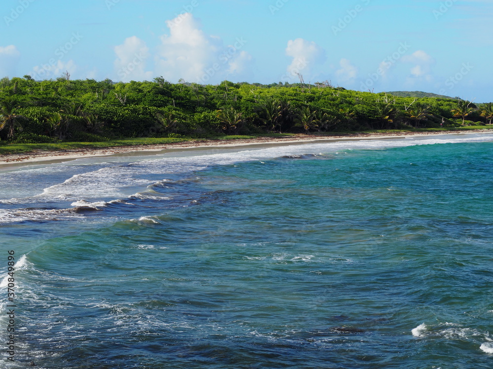 Obraz premium Plage sauvage dans le sud de la Martinique