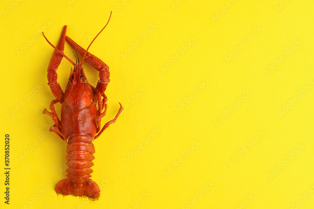 Delicious boiled crayfish on yellow background, top view. Space for text Delicious boiled crayfish on yellow background, top view. Space for text