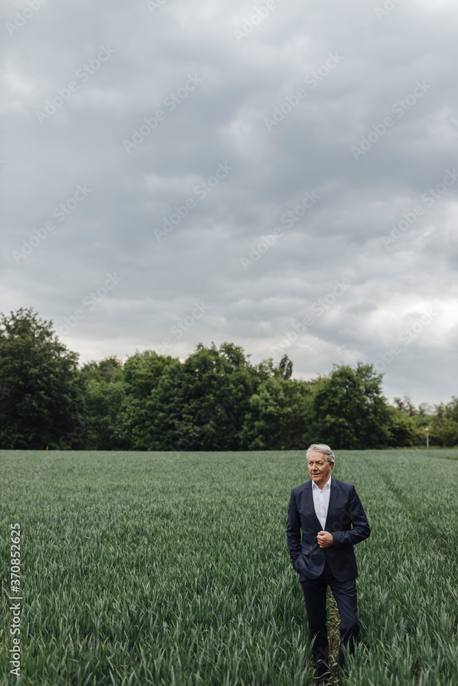 Senior businessman on a field in the countryside Senior businessman on a field in the countryside
