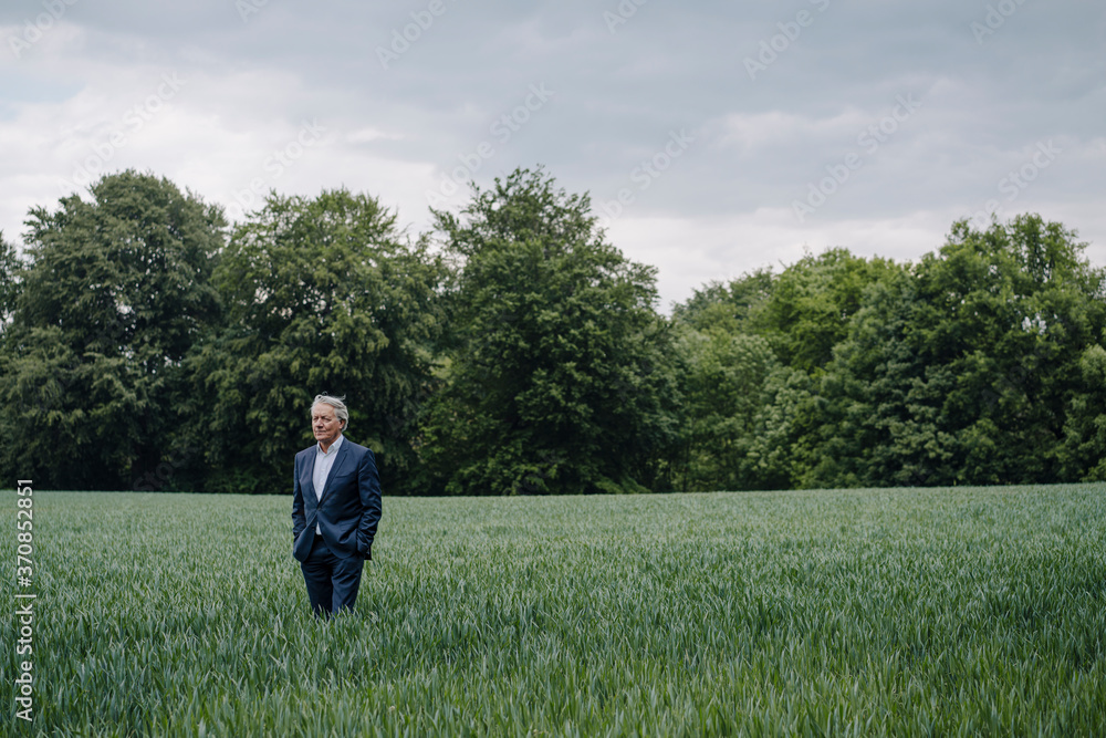 Senior businessman on a field in the countryside Senior businessman on a field in the countryside