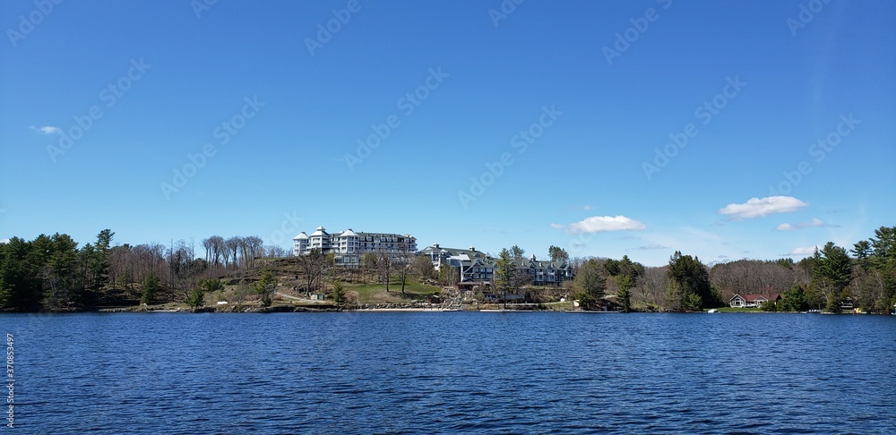 lake and forest lake and forest