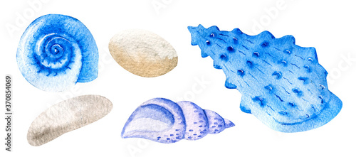 Three watercolor seashells and pebbles hand drawn isolated on white background. Marine clipart © Venera