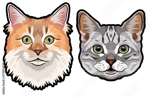 Realistic heads of domestic cats vector illustration