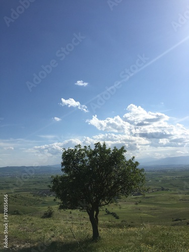 Landscape view  from a hill