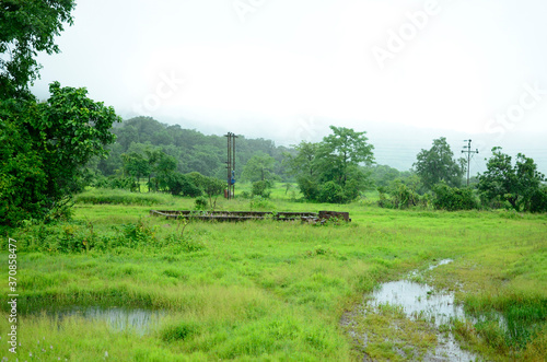 Rain in an indian village, Green Nature