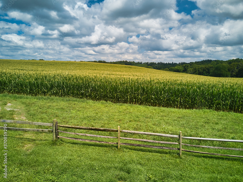 Aerial Drone images of Amish country cornfields in Pennsylvania countryside showing the various patterns in the corn Aerial Drone images of Amish country cornfields in Pennsylvania countryside showing the various patterns in the corn