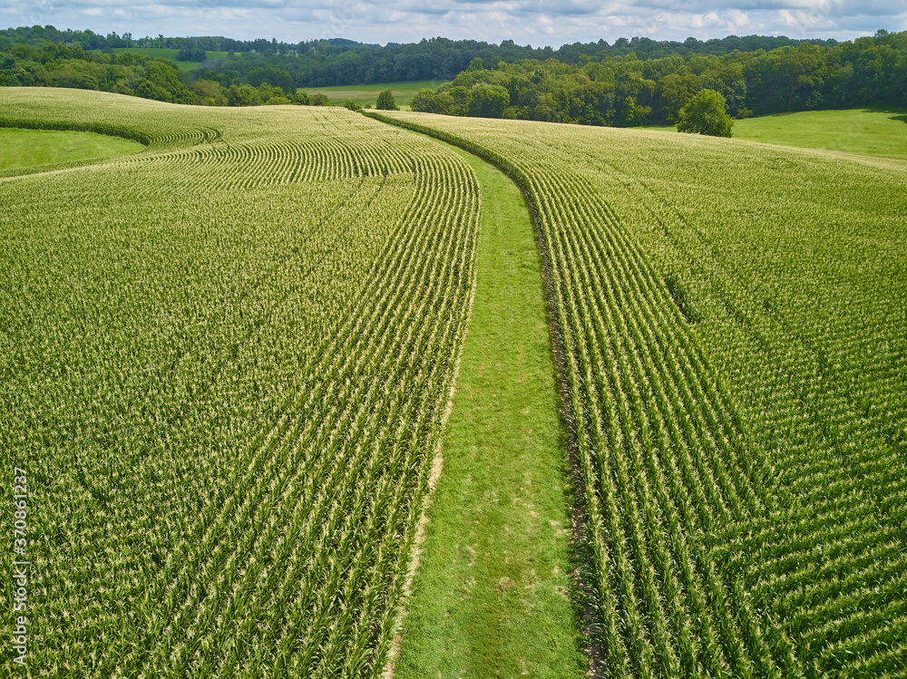 Aerial Drone images of Amish country cornfields in Pennsylvania countryside showing the various patterns in the corn