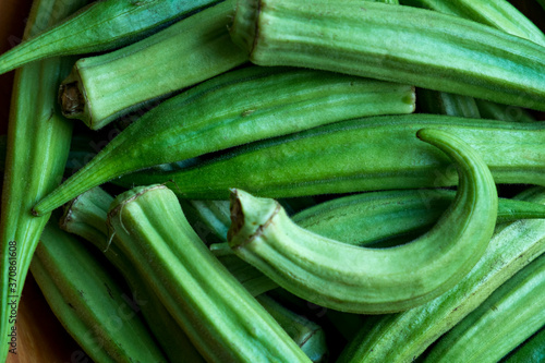 Okra