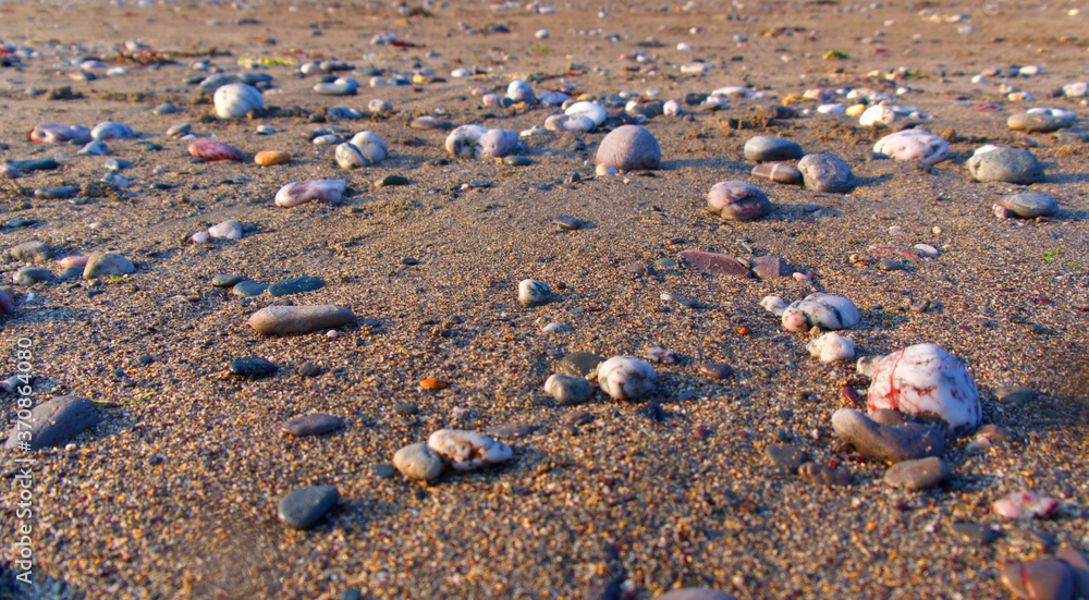 Low view across a warm sandy beach with pebbles and low evening sun Low view across a warm sandy beach with pebbles and low evening sun