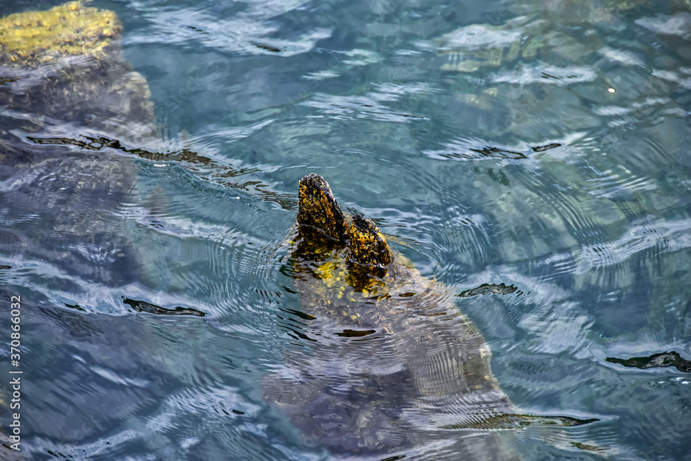 Obraz premium submerged rock near the coastline