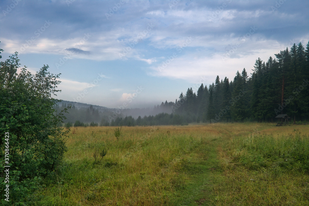 Summer landscape green meadow on a background of forest and cloudy sky. Summer landscape green meadow on a background of forest and cloudy sky.