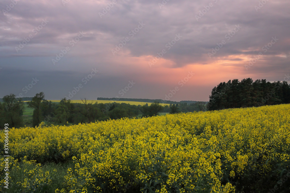 Obraz premium yellow hills