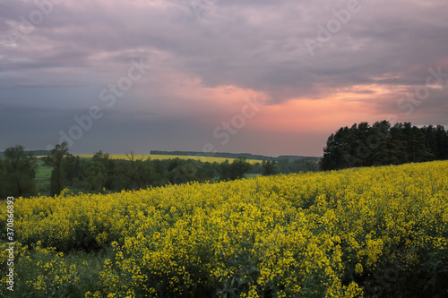 yellow hills