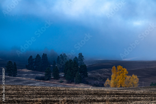 Palouse Fields in Autumn, Washington State photo