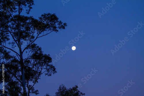 Moonrise over the Australia Bush