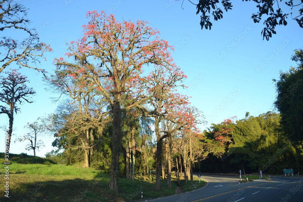 Obraz premium NATUREZA