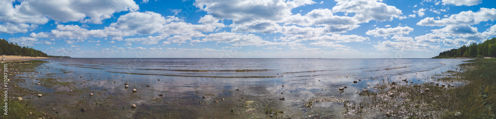Marshy sea shore. coastline panorama. seascape with horizon line. coast with silt. sky with clouds