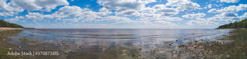 Marshy sea shore. coastline panorama. seascape with horizon line. coast with silt. sky with clouds