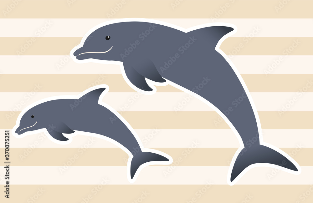 Fototapeta premium 仲良くジャンプするイルカの親子【白フチ】