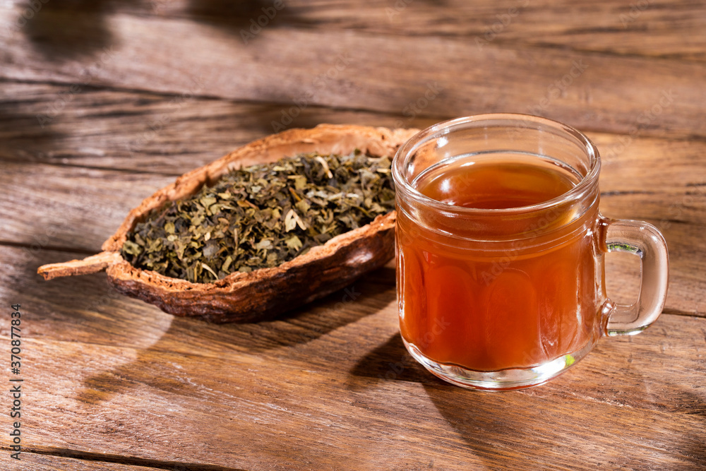 Fototapeta premium Cup of green tea with dried leaves - Camellia sinensis
