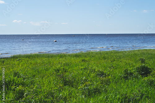 Sea shore. horizon line. green grass. overgrown coast. water surface