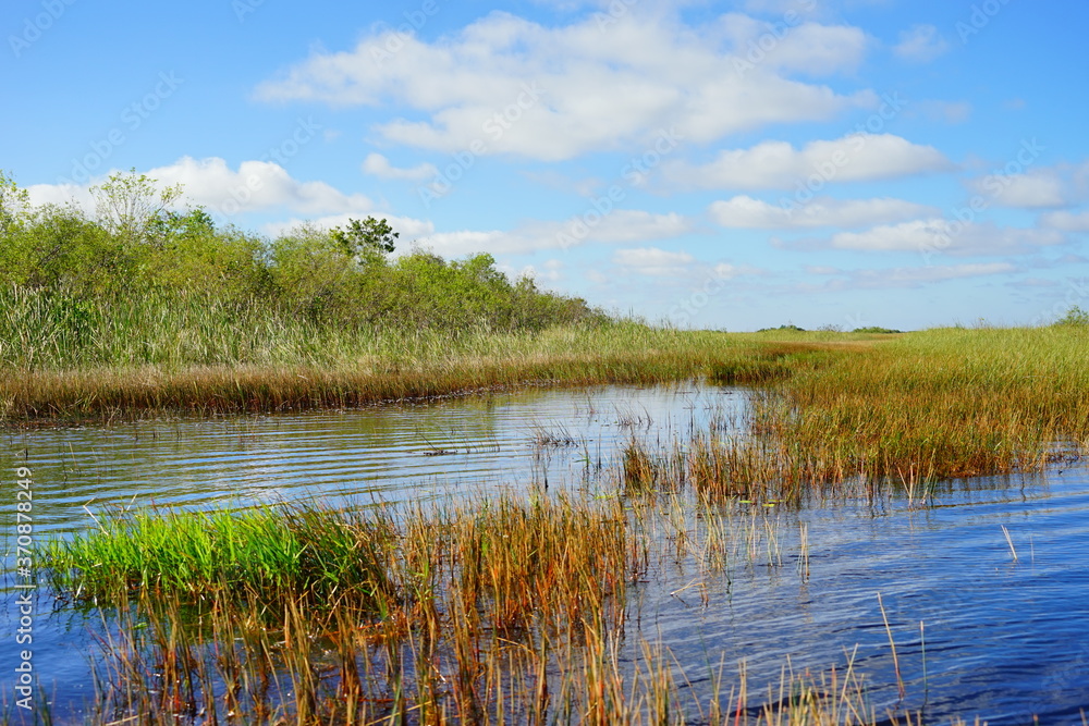 everglades national park landscape	