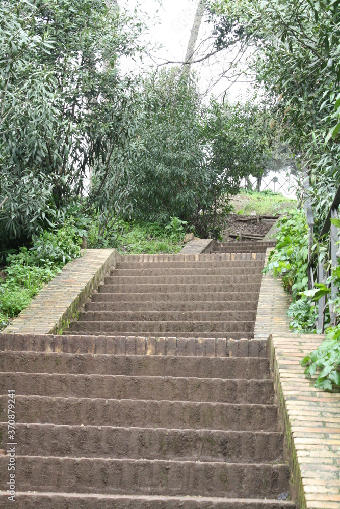 stairs in the park