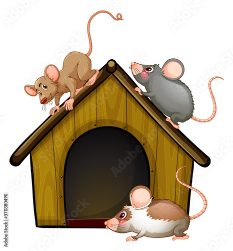 Group of cute mouses with little house isolated on white background