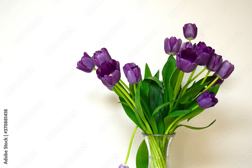 Bouquet of purple tulips in glass vase on a table with space on the side for text Bouquet of purple tulips in glass vase on a table with space on the side for text