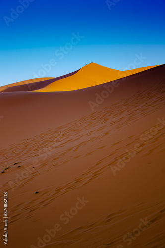 Huellas y caminos en la arena del desierto