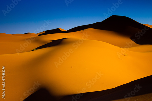 Desierto del Sahara con constrastes de sombras 